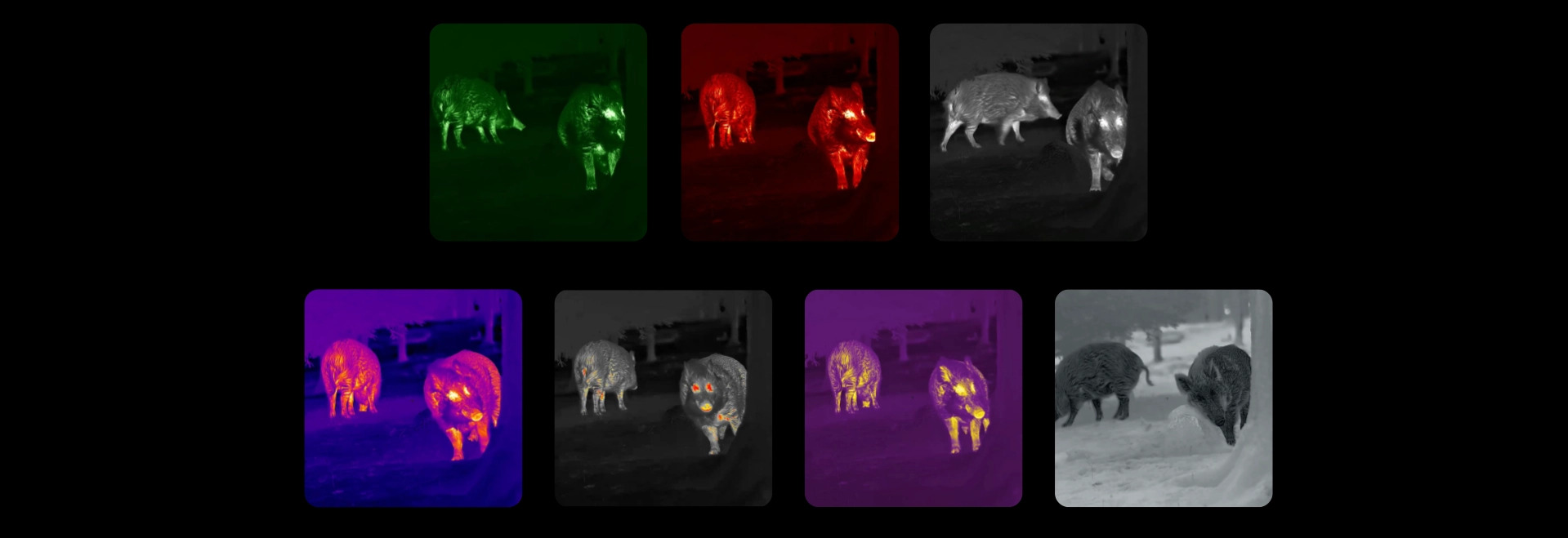 lumi-l19-tamed-pl-6.jpg